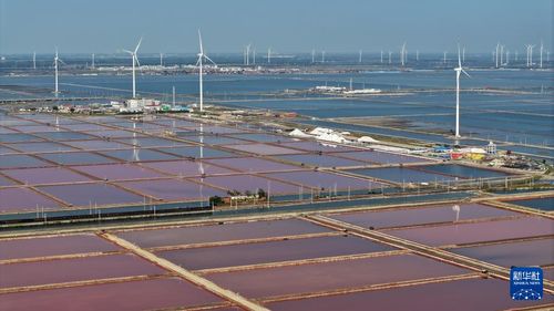 國道之行 海闊天空 從一滴海水到百味之王的海鹽收獲記與海外倉新篇