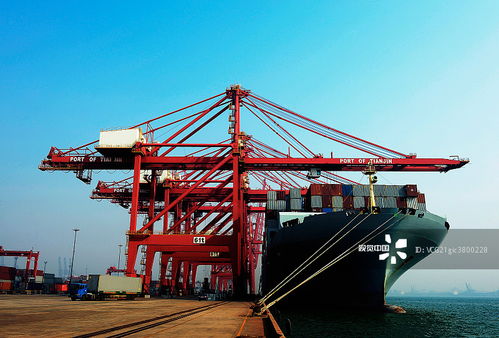 海空自貿(mào)海外倉 攝影圖片中的跨境電商新基建
